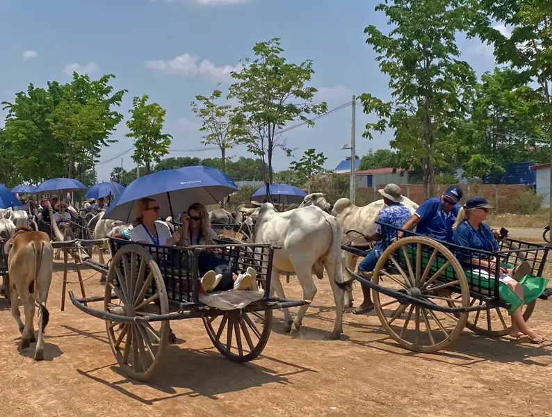 ox cart at one of our excursion during the Mekong River Cruis