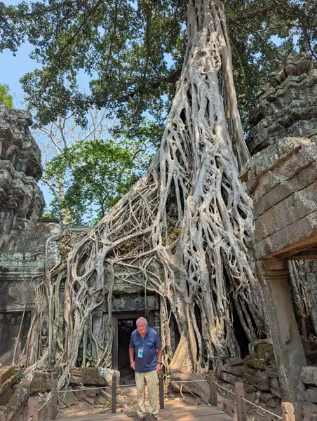 strangler figs growing over and through the ancient stone walls of the Tomb Raider Temple