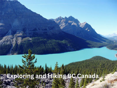 Lake Peyto Banff National Park Canada