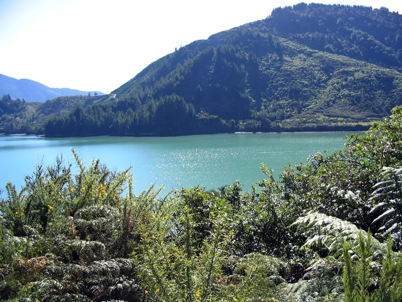Seclude location with stunning views of the Marlborough Sounds