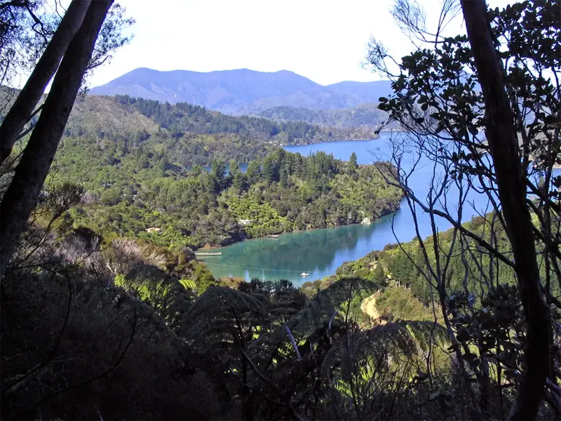 hiking with stunning views of the Marlborough Sounds