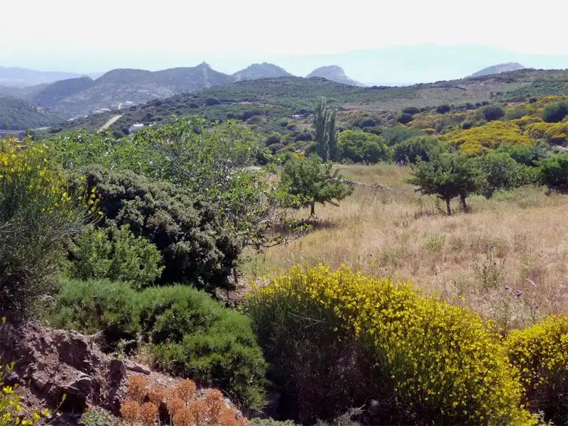 Naxos is a lush greenery and fertile landscap