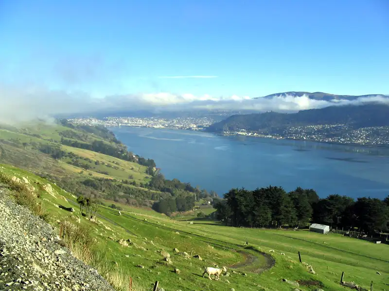 Otago Harbour with Dunedin in the background from Portobello New Zealand
