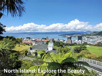 Wellington New Zealand Capital