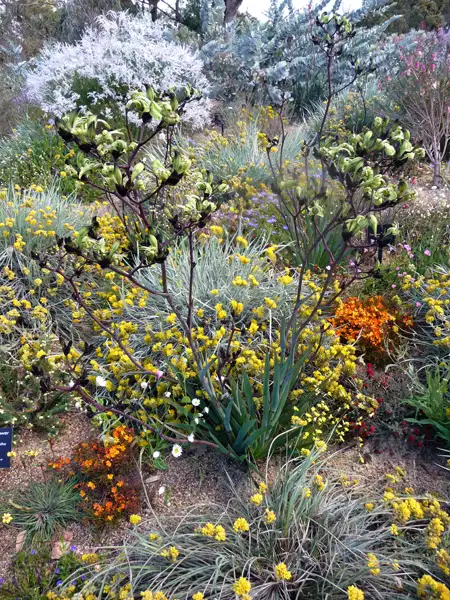 Flower arrangement Kings Park Perth
