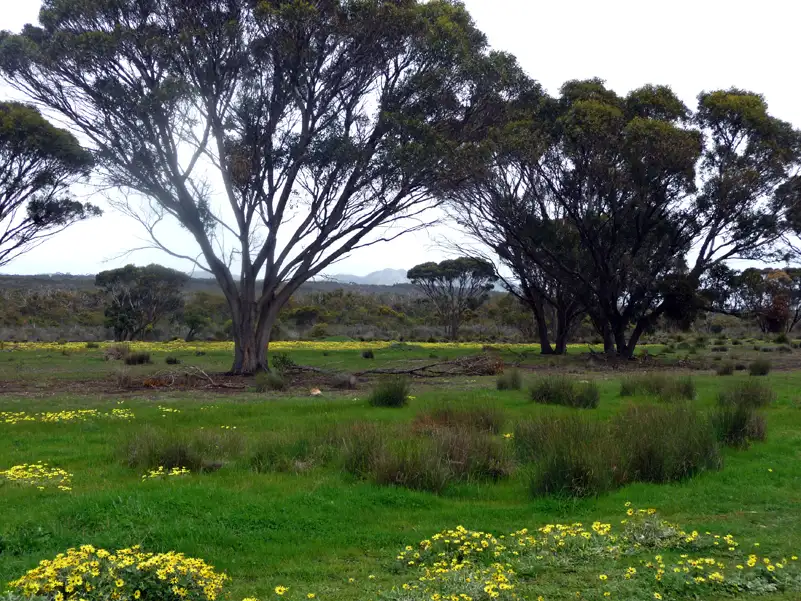 Walks in the Twin Creeks Conservation Reserve WA